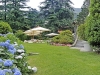 01-villa-frua-stresa-scorcio-giardino-con-ortensie