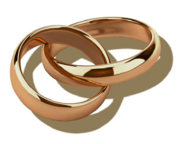 idw-wedding-rings